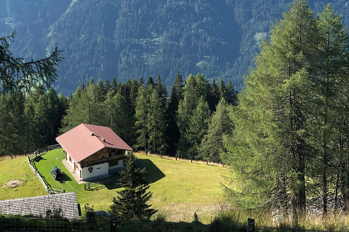 IMG 4776 1538654635274 01 IMG 4776 1538654635274 01