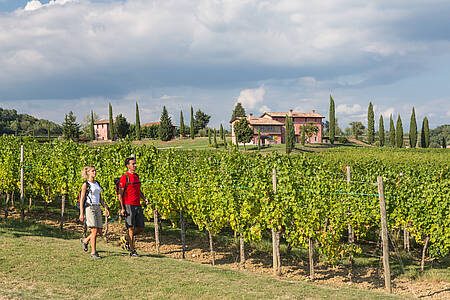 Alpe-Adria-Trail: FOOD; WINE CELLARS AND OSMIZZE