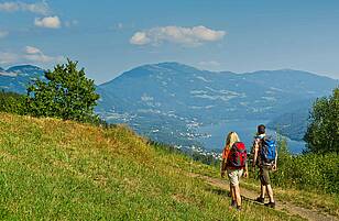 Alpe adria trail huhnersberg original