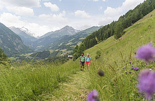 Alpe adria trail bei schachern mit blick auf den glockner original komprimiert