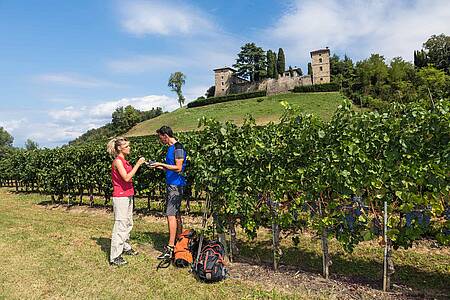 Alpe-Adria Trail: Terra di vino, gastronomia e ciliegie