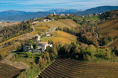 Oliven&ouml;l und Wein: Das Collio trifft auf den Karst