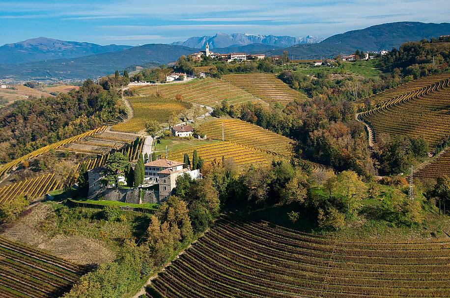 E29 Weinberge im Collio bei Cividale c Turismo FVG