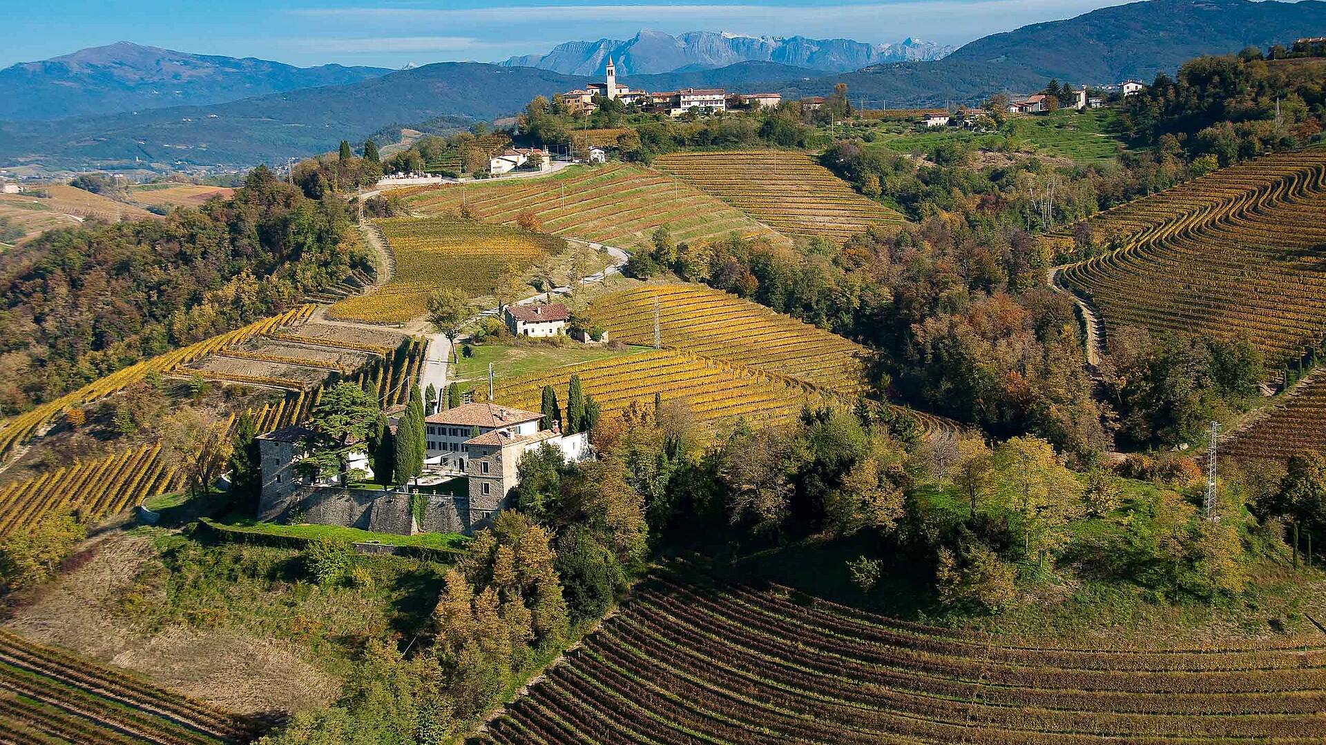 E29 Weinberge im Collio bei Cividale c Turismo FVG