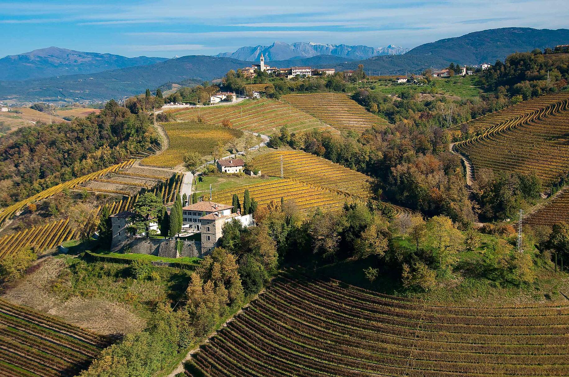 E29 Weinberge im Collio bei Cividale c Turismo FVG