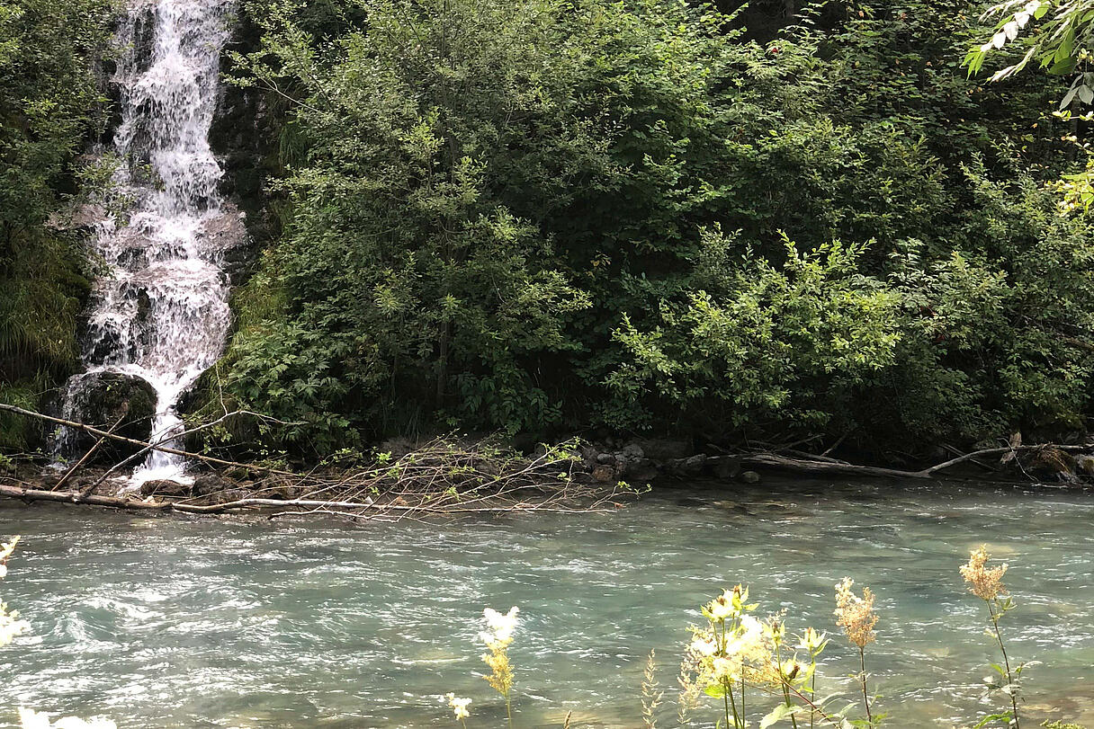 IMG 4646 1538654227494 01 IMG 4646 1538654227494 01