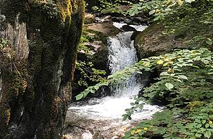 IMG 5401 e1538659818653_N
