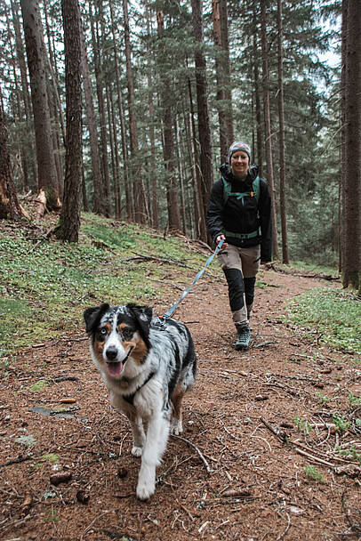 Alpe Adria Trail Wandern mit Hund Etappe 08
