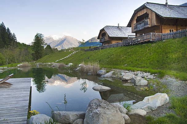 1191 Langut Moserhof in Penk Kaernten Werbung Pavel Hanuska