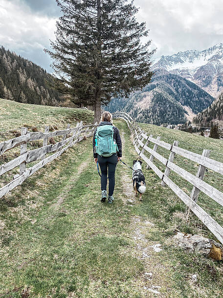 Alpe Adria Trail Wandern mit Hund Etappe 07