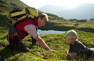 23981 Rucksack komprimiert