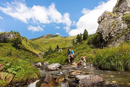 Hiking with your dog at the Alpe-Adria-Trail