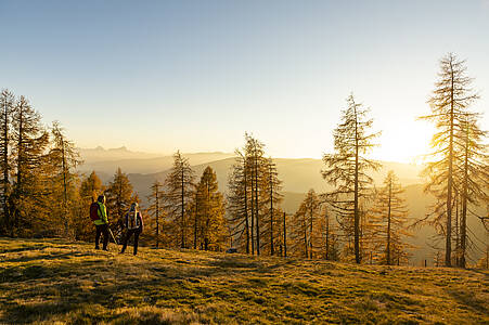 Golden autumn on the Alpe-Adria-Trail