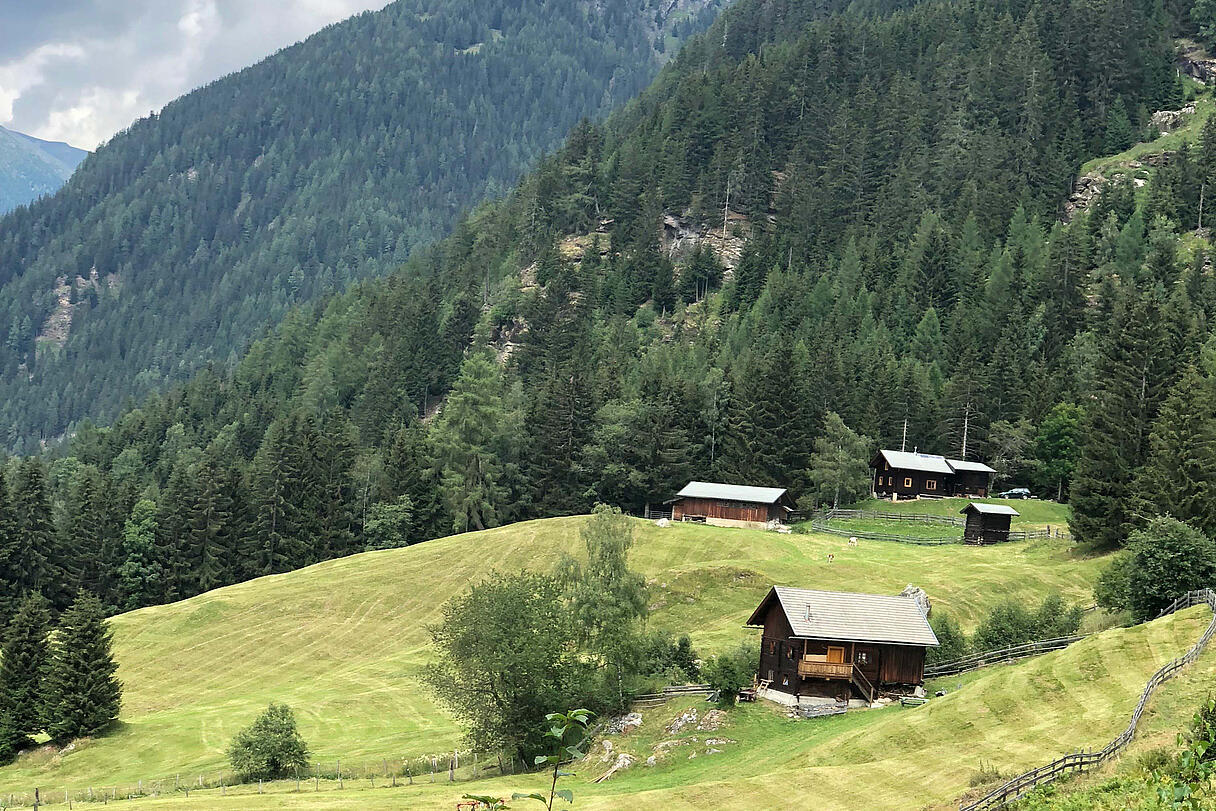 IMG 4696 1538654444485 01 IMG 4696 1538654444485 01