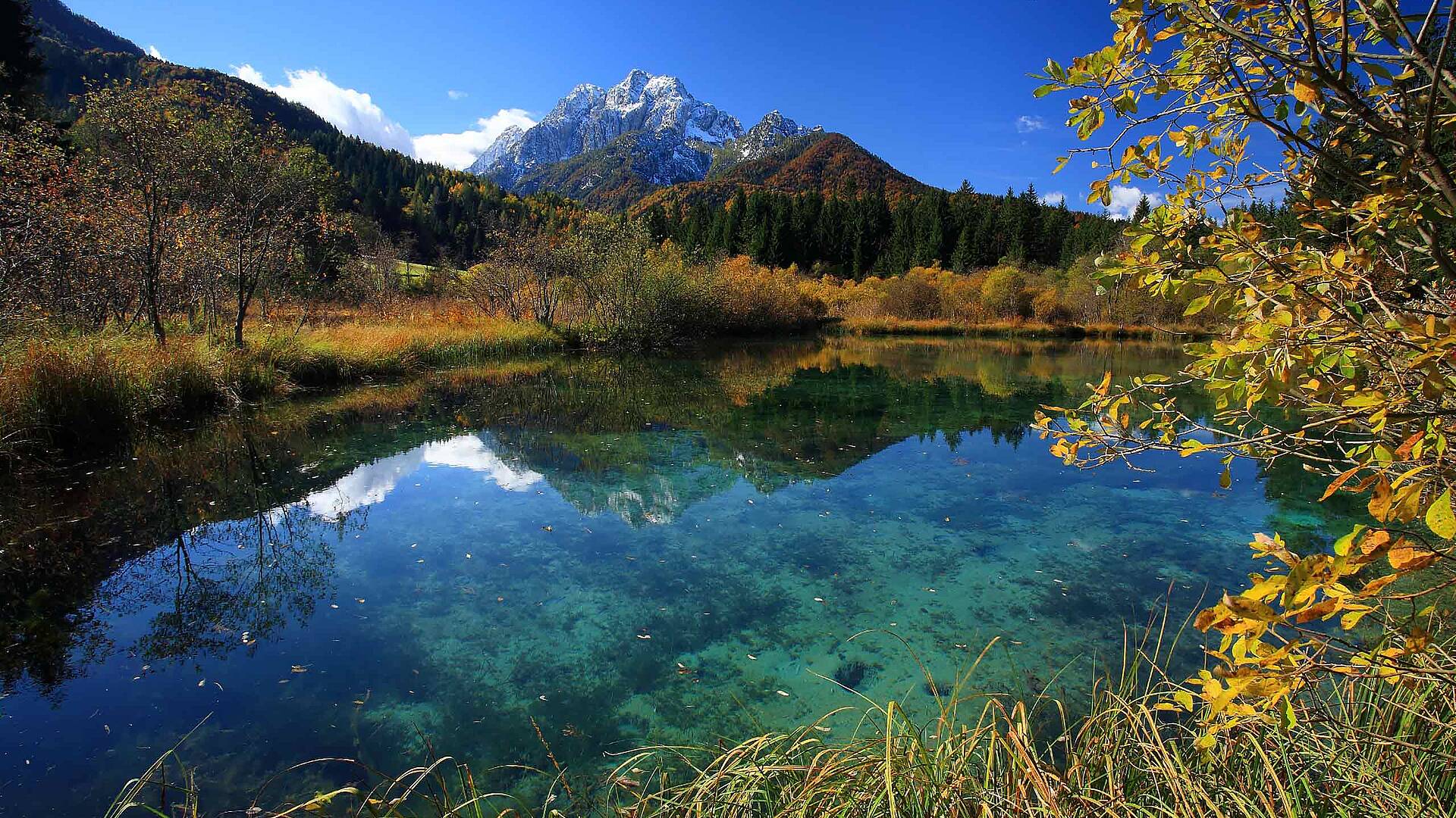 RT6 Naturreservat Zelenci c Krajnska Gora Tourist Board