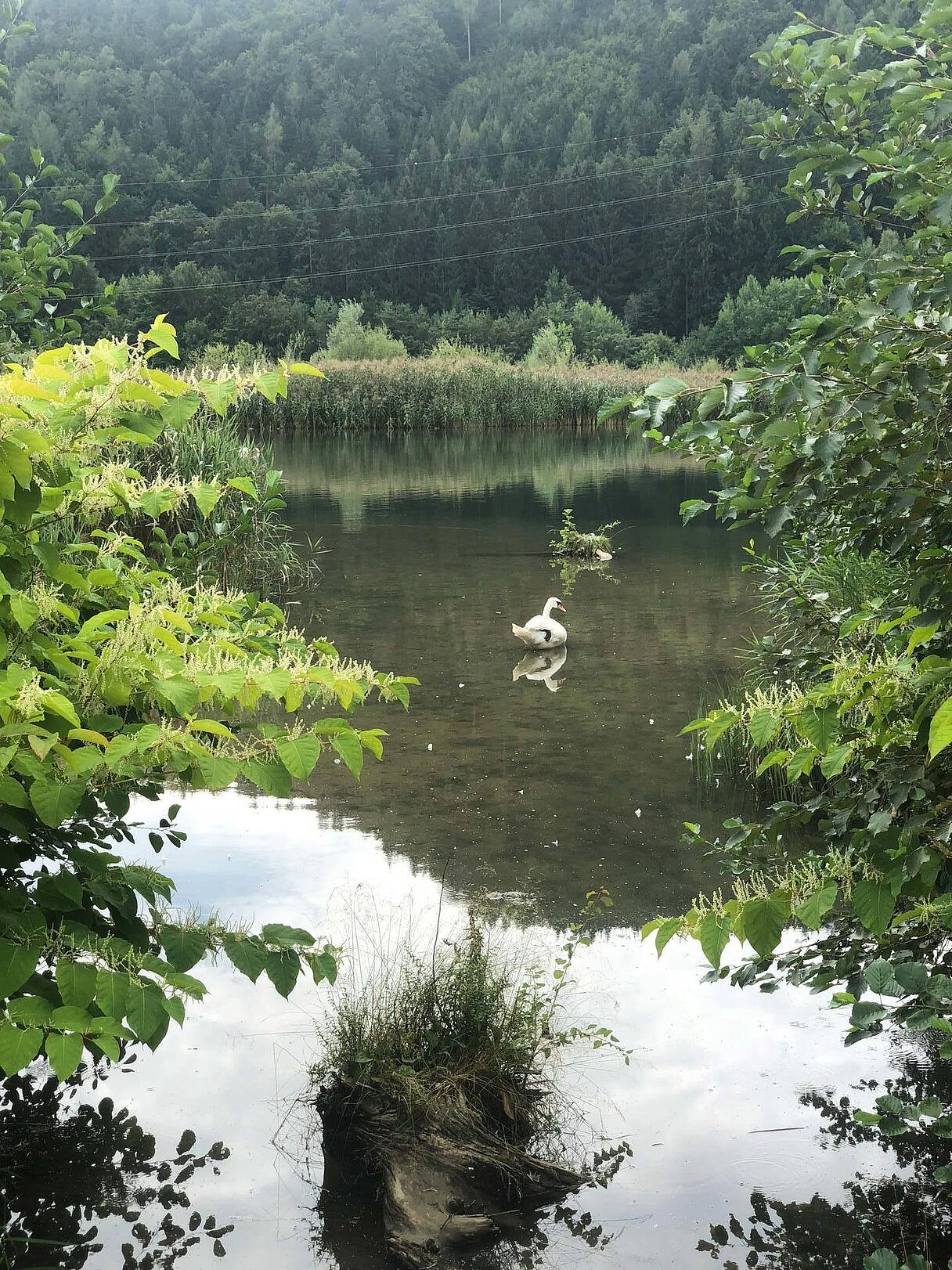 IMG 6868 e1538667422894