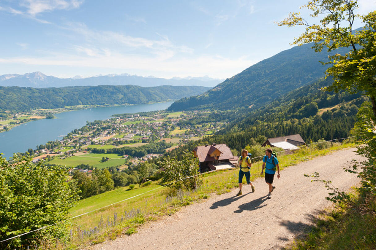 1862 1024x535 1862 1024x535