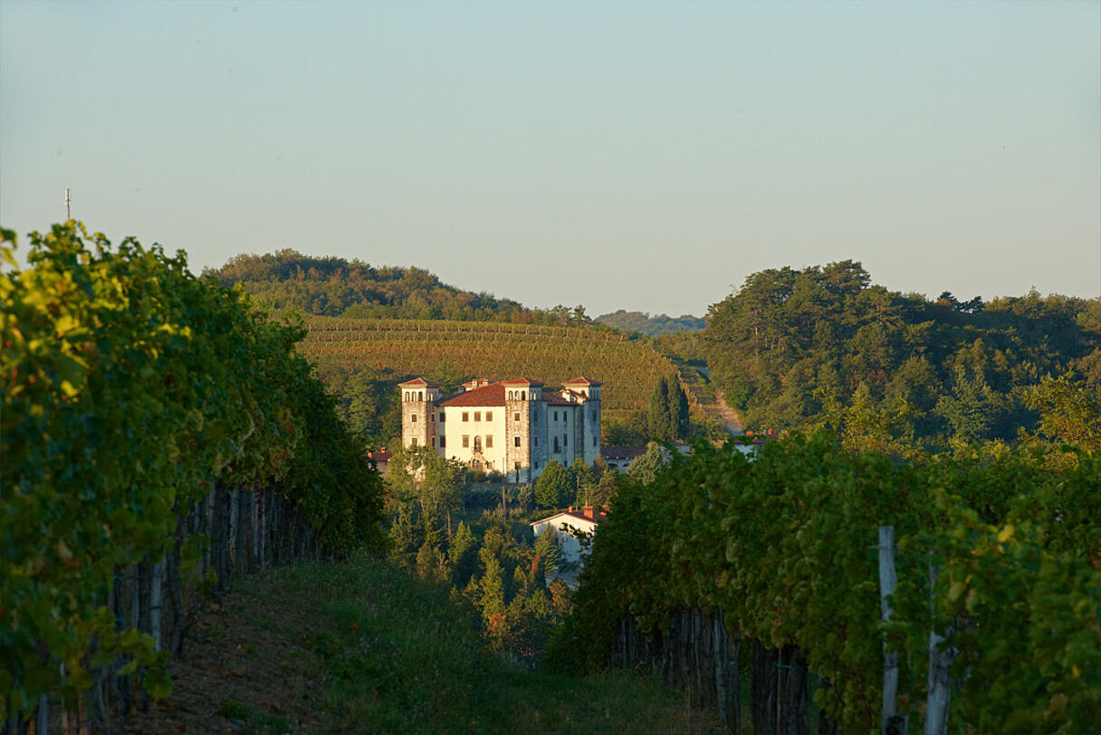 E30 Dobrovo E30 Dobrovo