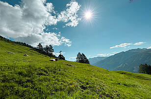 Hiking Alpe-Adria-Trail