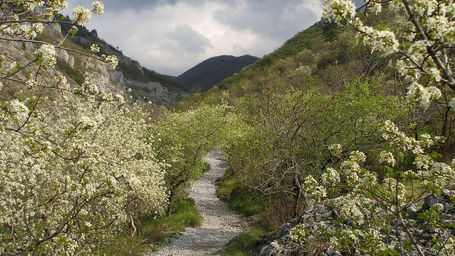 Val rosandra einziger taleinschnitt des triestiner karsts beeindruckt als naturschutzgebiet mit zahlreichen naturschonheiten und historischen denkmalern original