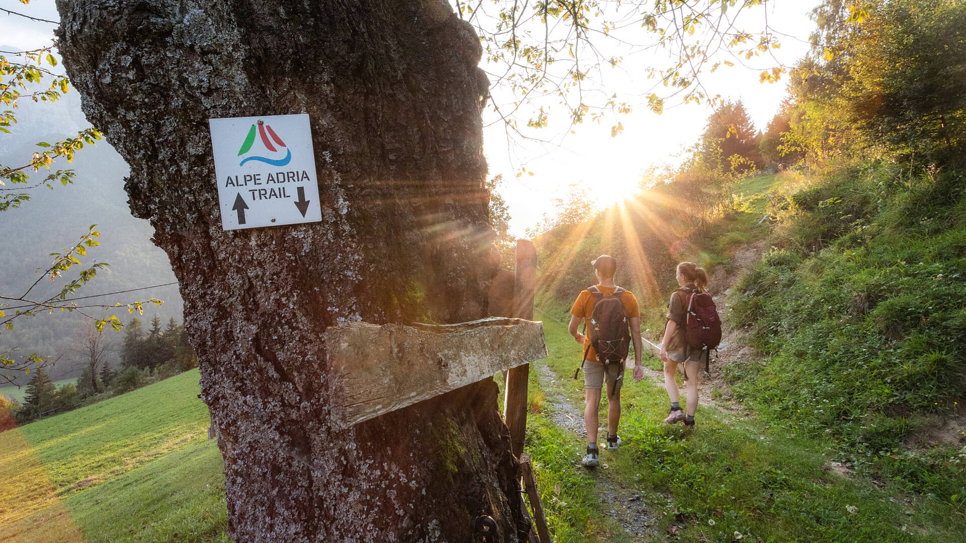 Photo Hiking Alpe Adria Trail